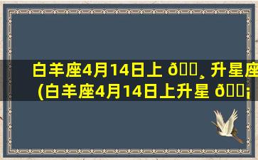 白羊座4月14日上 🕸 升星座(白羊座4月14日上升星 🐡 座是什么)